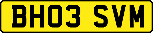 BH03SVM