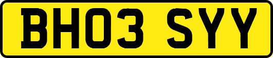 BH03SYY