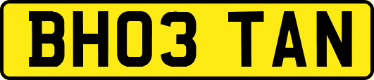 BH03TAN