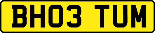 BH03TUM