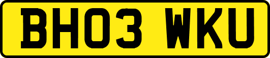 BH03WKU