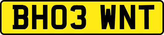 BH03WNT