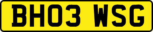BH03WSG