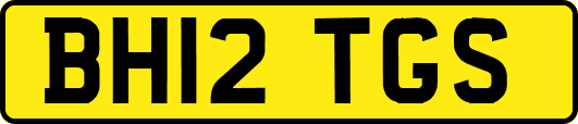 BH12TGS