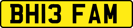 BH13FAM