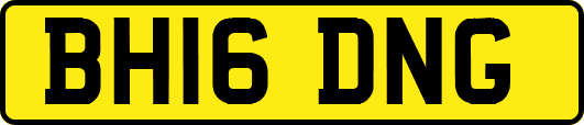 BH16DNG