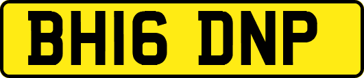 BH16DNP