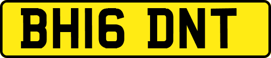 BH16DNT