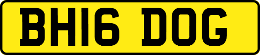 BH16DOG
