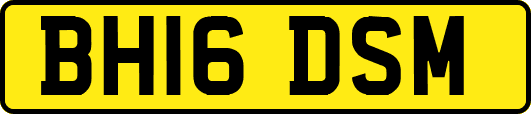 BH16DSM