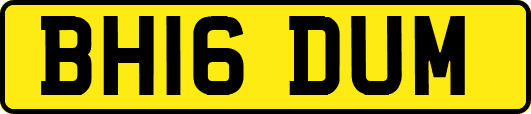 BH16DUM
