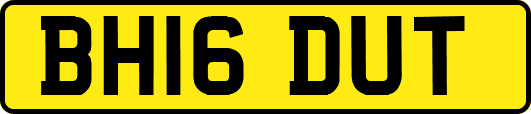 BH16DUT