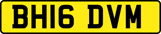 BH16DVM