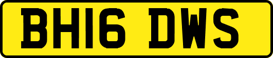 BH16DWS