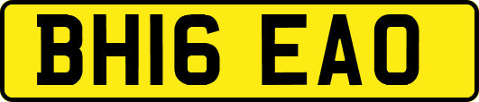 BH16EAO