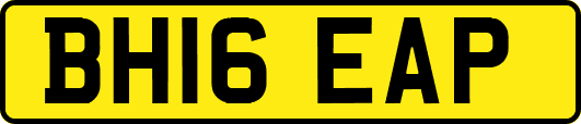BH16EAP
