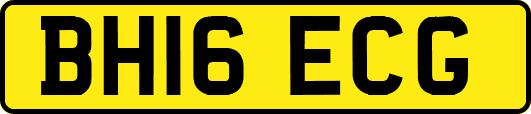 BH16ECG