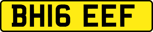 BH16EEF