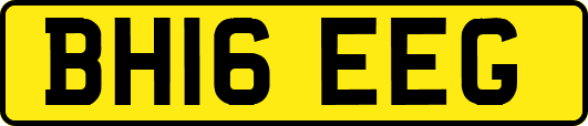 BH16EEG