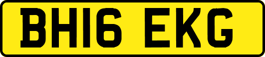 BH16EKG