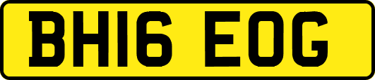 BH16EOG