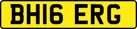 BH16ERG
