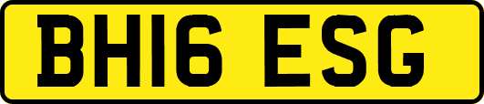 BH16ESG