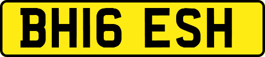 BH16ESH