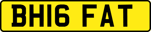 BH16FAT