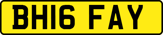 BH16FAY