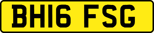 BH16FSG