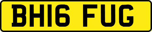 BH16FUG