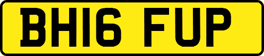 BH16FUP