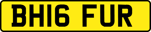 BH16FUR