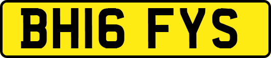BH16FYS