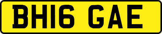 BH16GAE