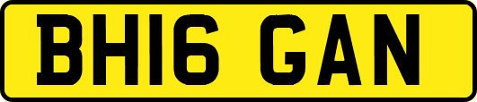 BH16GAN