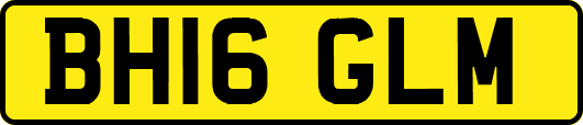 BH16GLM