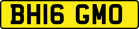 BH16GMO