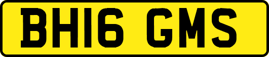 BH16GMS