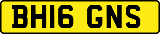 BH16GNS