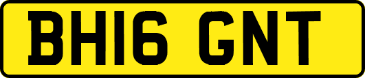 BH16GNT
