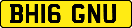 BH16GNU
