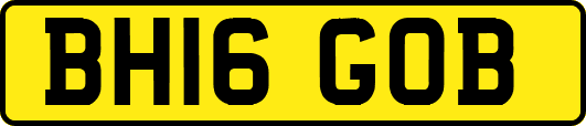 BH16GOB