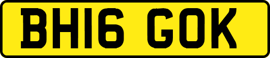 BH16GOK