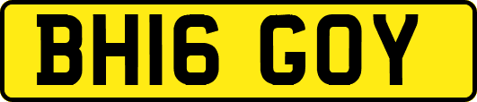 BH16GOY