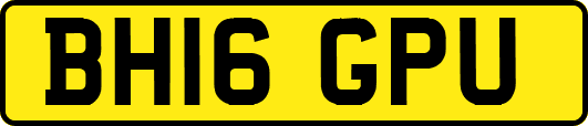 BH16GPU