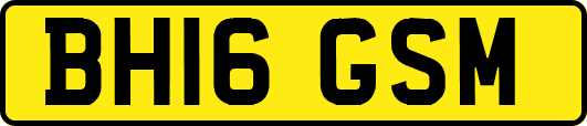 BH16GSM