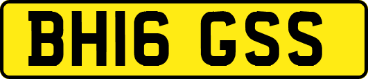 BH16GSS
