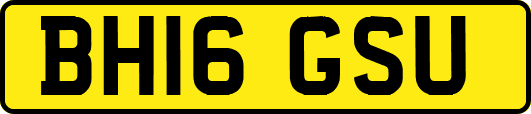 BH16GSU